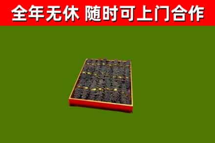 桐柏县回收海参